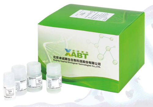 核酸试剂套装 - CN8033-48 - BEIJING APPLIED BIOLOGICAL TECHNOLOGIES - 蛋白酶K / 缓冲溶液 / DNA提取