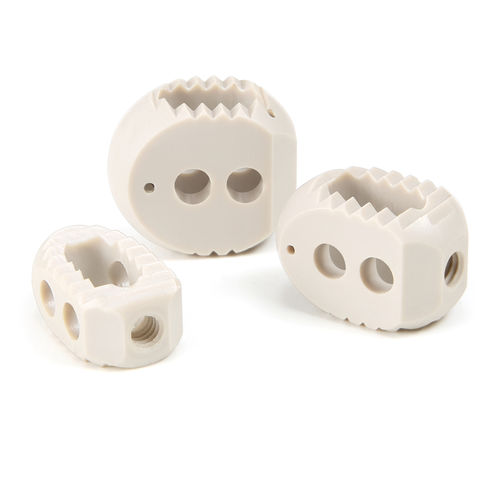 胸腰椎间融合器 - 510K-152200 - SurgTech - 后入路 / PEEK材质
