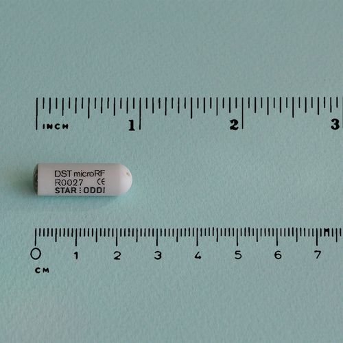 动物研究遥测植入物 - DST microRF-T - Star-Oddi - 用于小型动物 / 温度 / 植入式