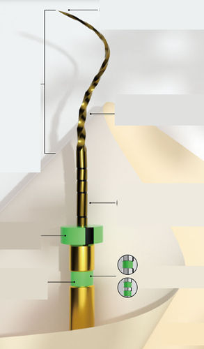 牙科钻头 - E-FLEX GOLD - Changzhou Sifary Medical Technology - 金属