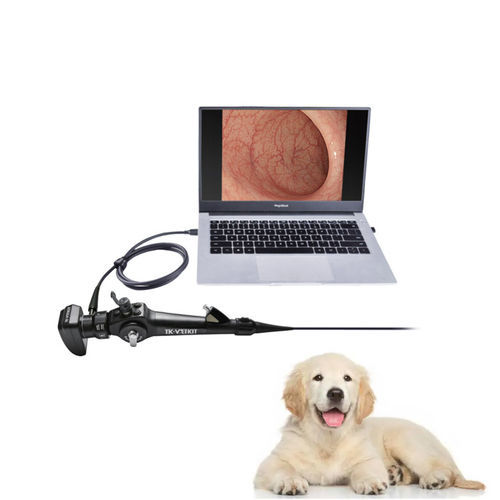 视频兽用支气管镜 - EU series - Zhuhai Seesheen Medical Technology - 小动物 / 犬用 / 带操作通道