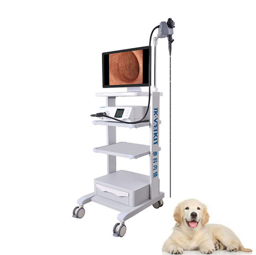 视频兽用支气管镜 - GU series - Zhuhai Seesheen Medical Technology - 小动物 / 大型动物 / 犬用