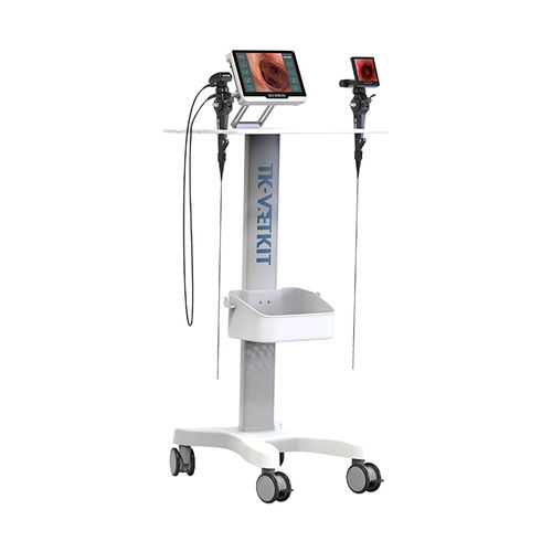 视频兽用胃镜 - D-1211 - Zhuhai Seesheen Medical Technology