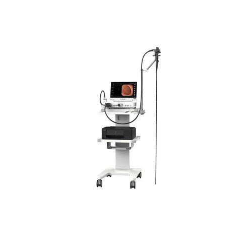 视频兽用胃镜 - VHP-1315 pro - Zhuhai Seesheen Medical Technology - 大型动物