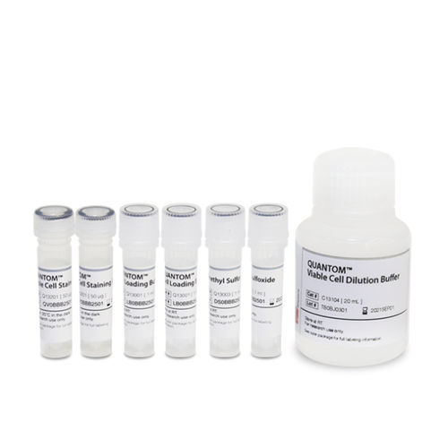 染色液试剂套装 - QUANTOM™ - Logos Biosystems - 稀释缓冲液 / 加载缓冲区 / 染色