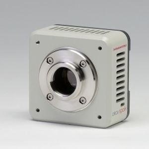 显微镜摄像机 - C11440-36U - Hamamatsu Photonics France/滨松 - 模拟 / 数字 / 宽动态范围