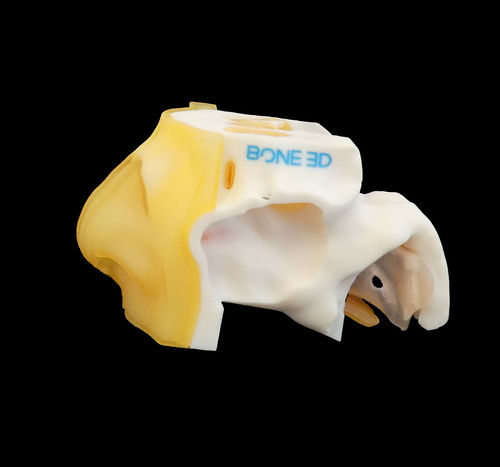 培训模拟器 - NASO-Train  - Bone 3D - 鼻咽采集 / 手术 / COVID-19新冠病毒