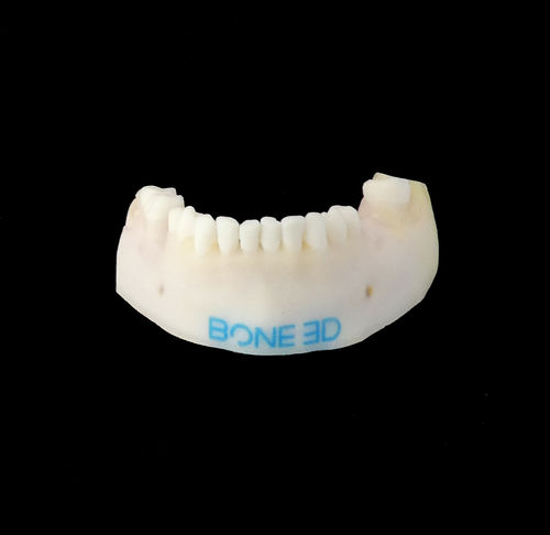 培训模拟器 - BUCCO-Train - Bone 3D - 牙科手术 / 用于口腔外科手术 / 口腔护理