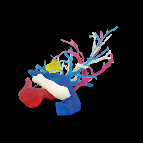 支气管解剖模型 - Bone 3D - 培训 / 手提式