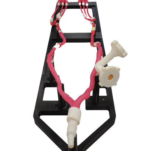 培训模拟器 - VASCULO-Train - Bone 3D - 用于进入血管 / 穿刺 / 用于插管