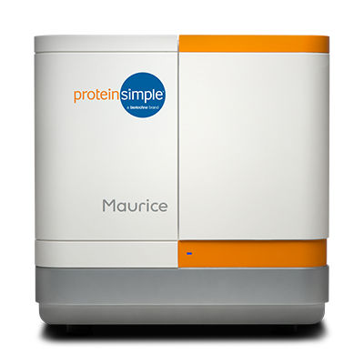 毛细管电泳仪 - Maurice - ProteinSimple - 等电聚焦 / 十二烷基硫酸钠 / 用于蛋白质