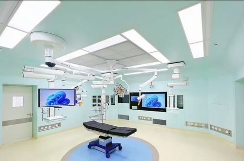 无菌室层流机 - LHH-04 - Shenzhen Kenid Medical Devices - 天花板