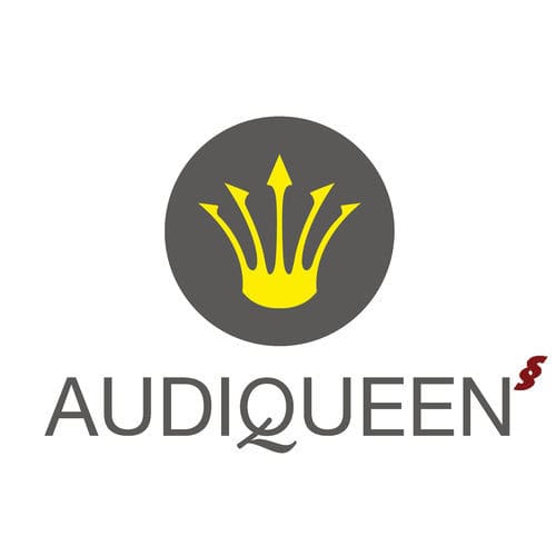 设备管理软件 - AUDIQUEEN  - Otoconsult - 听力测验 / 耳鼻喉 / 用于医院