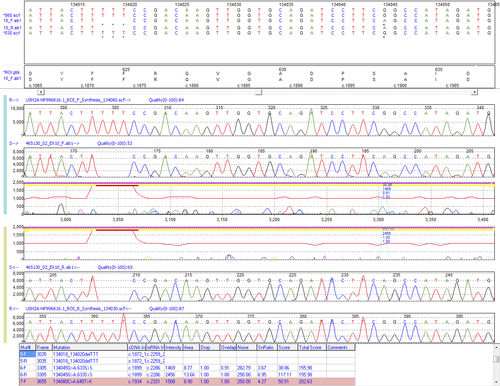DNA排列软件 - Mutation Surveyor® - SoftGenetics, LLC. - 实验室 / 分析 / 自动化