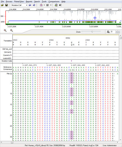 NGS测序软件 - NextGENe® - SoftGenetics, LLC. - 分析 / 实验室