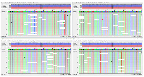 分析软件 - GeneMarker®HTS  - SoftGenetics, LLC. - 控制 / 报告 / NGS