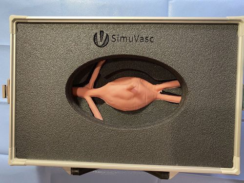 腹主动脉瘤模拟器 - AAA - SimuVasc - 培训 / 一般护理