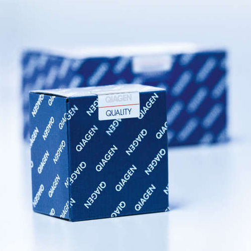 DNA鉴定试剂套装 - QIAxcel - QIAGEN/凯杰 - 溶液 / 通过毛细管电泳