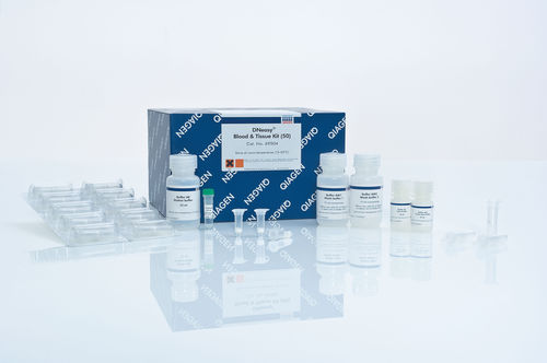 DNA提取试剂套装 - DNeasy - QIAGEN/凯杰 - 溶液 / 用于科研 / 血液样本