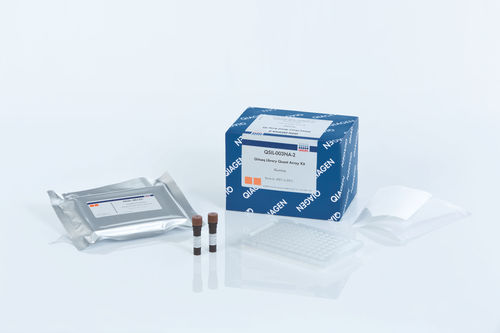 法医应用快速诊断套装 - GeneRead  - QIAGEN/凯杰 - 用于实时PCR / NGS测序 / 用于测序