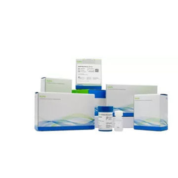 溶液试剂套装 - KAPA  - Roche Sequencing Solutions - 用于研究 / 制备样本 / NGS