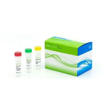 溶液试剂套装 - KAPA EvoPlus V2 - Roche Sequencing Solutions/罗氏 - 用于研究