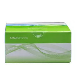 溶液试剂套装 - KAPA HyperPlus - Roche Sequencing Solutions - 用于研究 / NGS