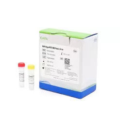 溶液试剂套装 - KAPA HyperPETE - Roche Sequencing Solutions/罗氏 - 用于研究 / 用于DNA