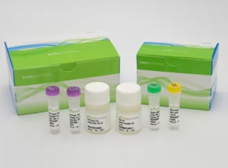 溶液试剂套装 - KAPA HyperPrep  - Roche Sequencing Solutions - DNA聚合酶 / 用于研究 / NGS