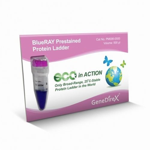 蛋白质梯试剂 - BlueRAY   - GeneDireX, Inc. - 蛋白质印迹