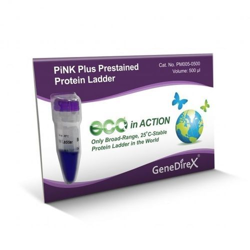 蛋白质梯试剂 - PiNK Plus   - GeneDireX, Inc. - 蛋白质印迹