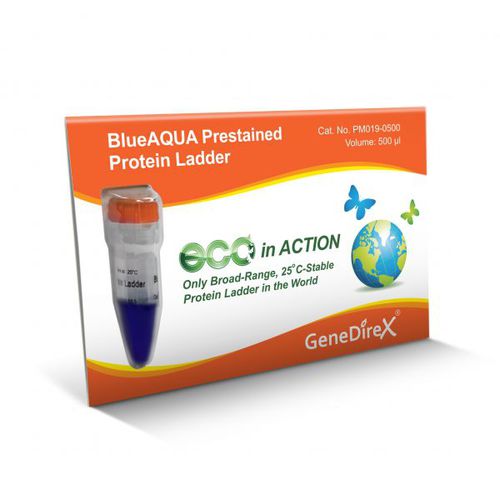 蛋白质梯试剂 - BlueAQUA - GeneDireX, Inc. - 蛋白质印迹