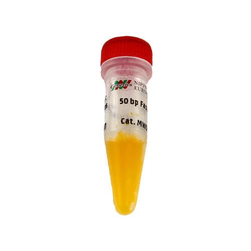 酶试剂套装 - FastGene® - Nippon Genetics - 染色 / 琼脂糖凝胶 / 梯状DNA