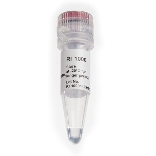 Taq-DNA聚合酶试剂 - RNAok™ - SMOBIO Technology, Inc. - 逆转录酶 / 核糖核酸酶抑制剂 / RT-PCR