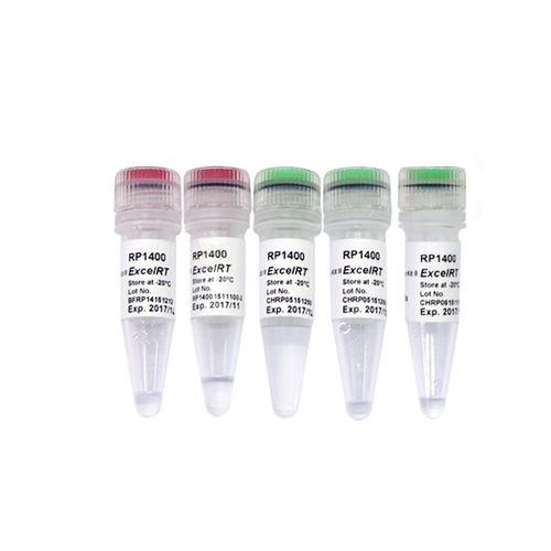 逆转录酶试剂套装 - ExcelRT™ - SMOBIO Technology, Inc. - 用于实时PCR / pH值 / 用于病毒