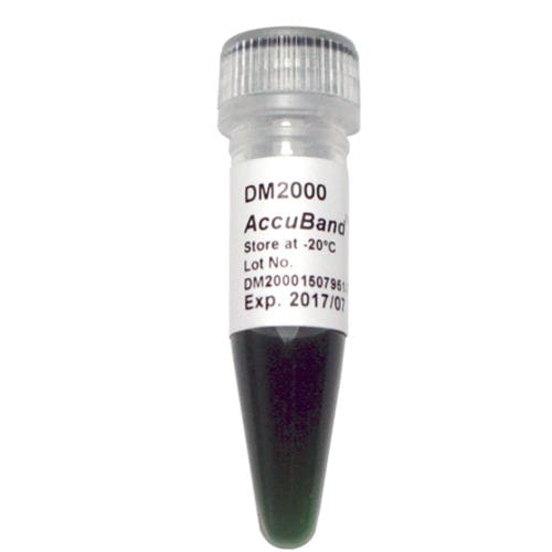 琼脂糖凝胶试剂 - AccuBand™ - SMOBIO Technology, Inc. - 酶 / 染色 / 用于分子生物