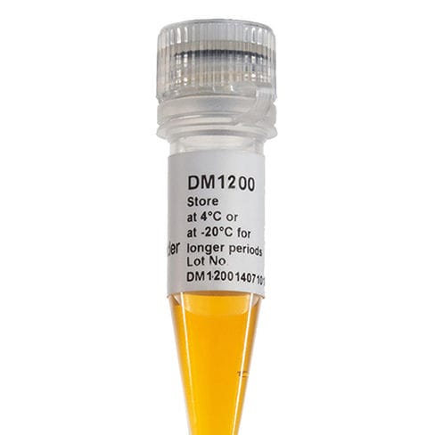 梯状DNA试剂 - DM1200 - SMOBIO Technology, Inc. - 酶 / 染色 / 电泳