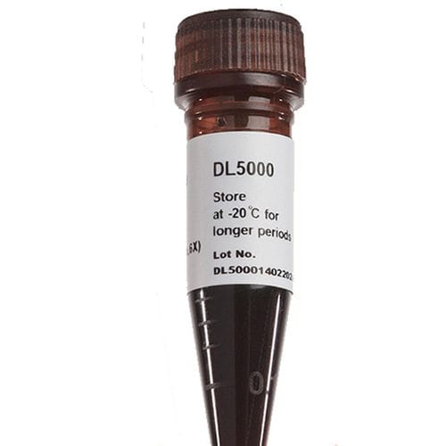 染色试剂 - FluoroDye™ - SMOBIO Technology, Inc. - DNA提取 / 甘油