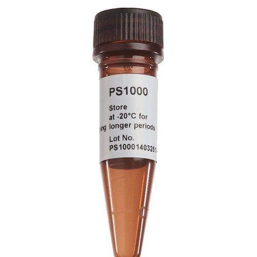 染色液试剂 - FluoroStain™ - SMOBIO Technology, Inc. - 染色 / 用于微生物学 / 蛋白质