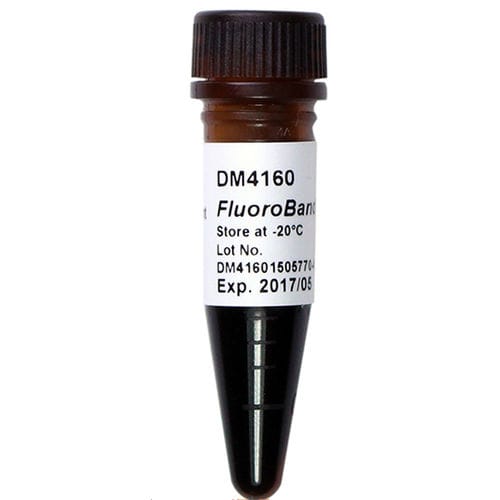 梯状DNA试剂 - FluoroBand™ - SMOBIO Technology, Inc. - 酶 / DNA提取 / pH值