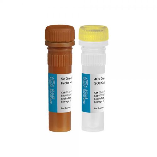 溶液试剂套装 - SOLIScript® 1-step Probe  - Solis BioDyne - 酶 / 用于研究 / 诊断