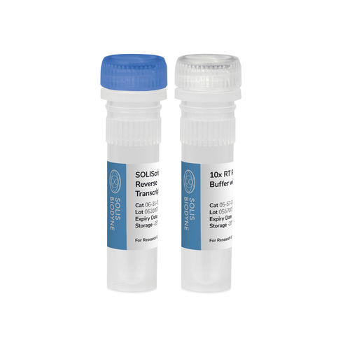 溶液试剂套装 - SOLIScript® KIT - Solis BioDyne - 酶 / 诊断 / 用于研究