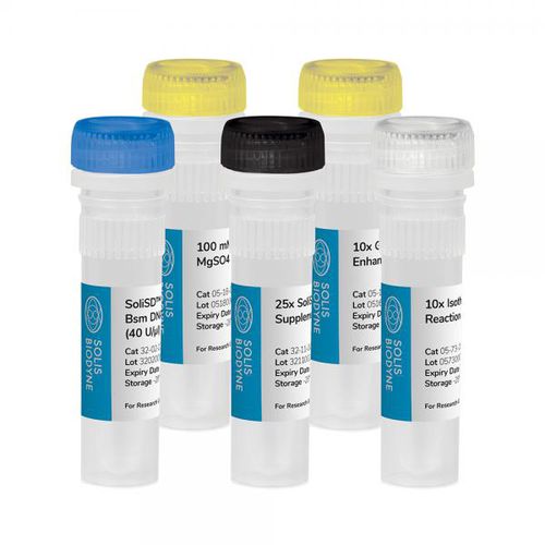 DNA聚合酶试剂套装 - SoliSD™ Lyo-compatible Bsm DNA Polymerase Kit - Solis BioDyne - 用于等温扩增