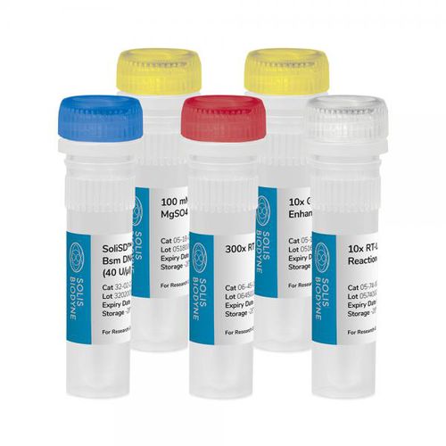 DNA聚合酶试剂套装 - SoliSD™ Lyo-compatible RT-LAMP Kit - Solis BioDyne - 用于等温扩增 / LAMP套件