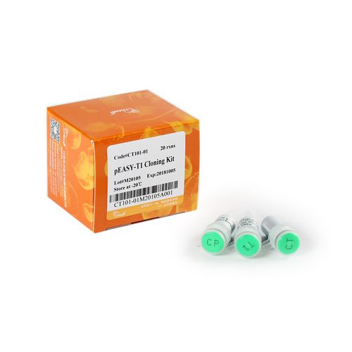氨苄西林试剂套装 - pEASY® -T1 - TransGen Biotech Co. - 用于DNA排列 / 用于微生物学