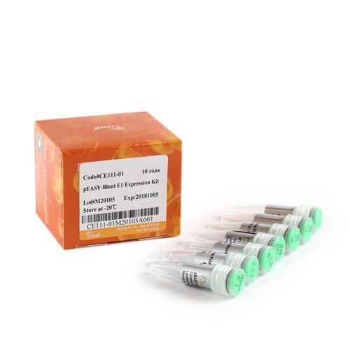 氨苄西林试剂套装 - pEASY®-Blunt E1 - TransGen Biotech Co. - 用于DNA排列 / 用于微生物学 / 蛋白质