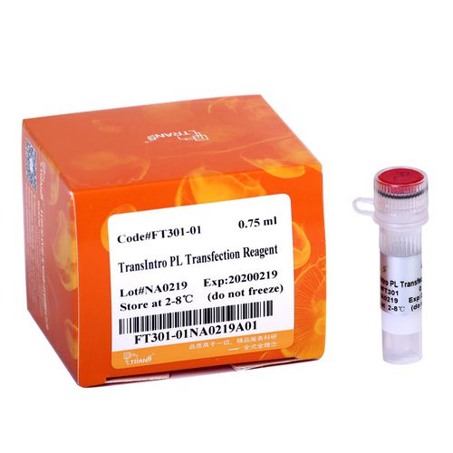 缓冲溶液试剂 - TransIntro™ PL - TransGen Biotech Co. - 用于DNA转染