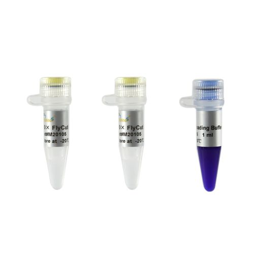 酶试剂 - FlyCut® SphI - TransGen Biotech Co. - 用于分子生物 / 大肠杆菌