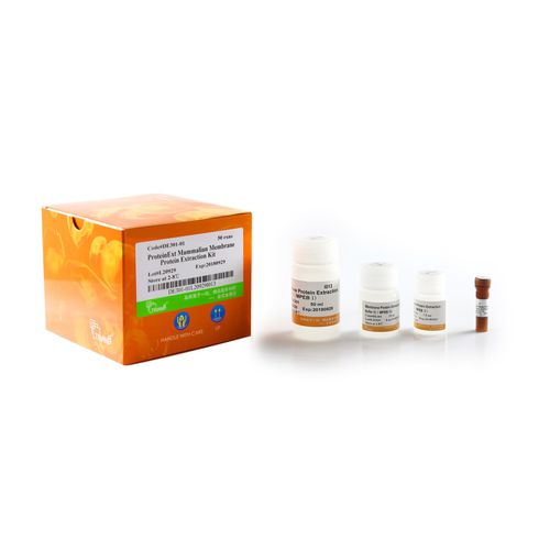 蛋白酶试剂套装 - ProteinExt® - TransGen Biotech Co. - 蛋白质印迹 / 酶联免疫吸附试验 / 蛋白质
