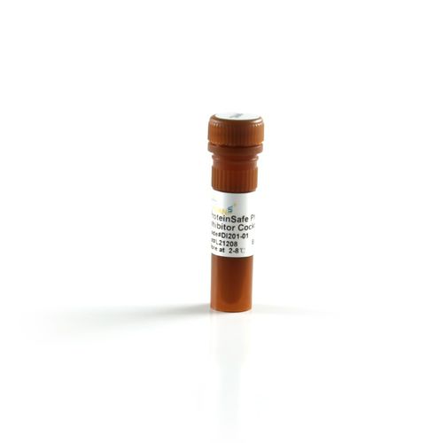磷酸盐缓冲液试剂 - ProteinExt™ - TransGen Biotech Co. - 蛋白质印迹 / 蛋白质 / 钠